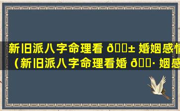 新旧派八字命理看 🐱 婚姻感情（新旧派八字命理看婚 🌷 姻感情准吗）